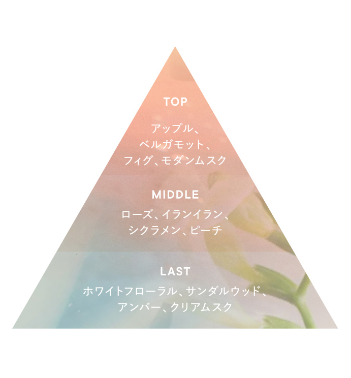 フレグランス 香調