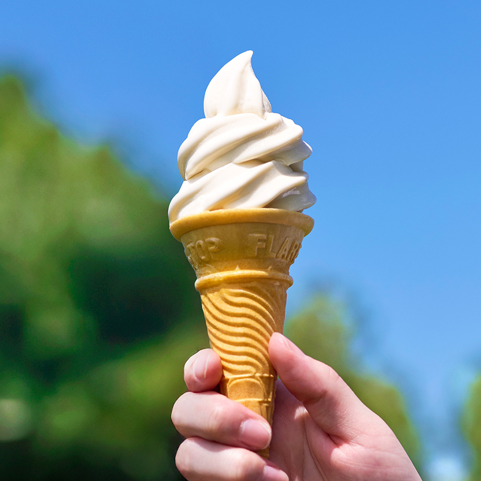 SHIROソフトクリーム（コーン）