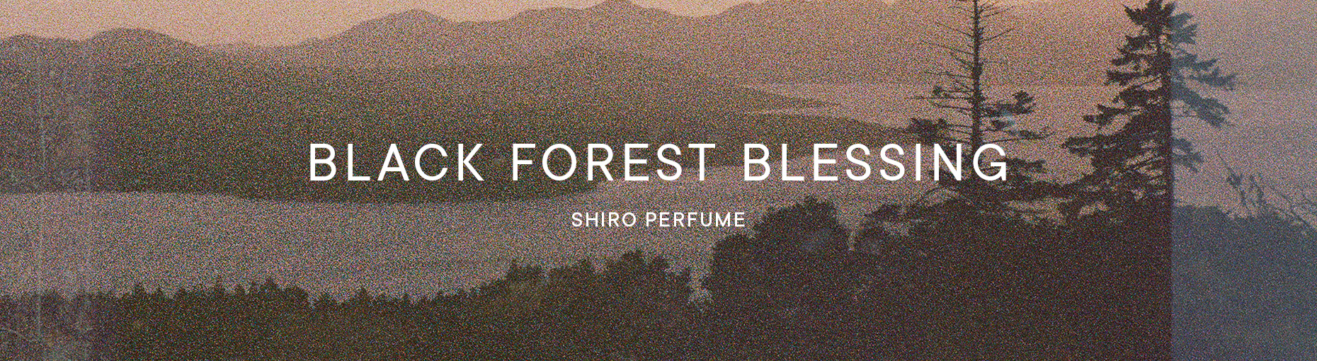 BLACK FOREST BLESSING