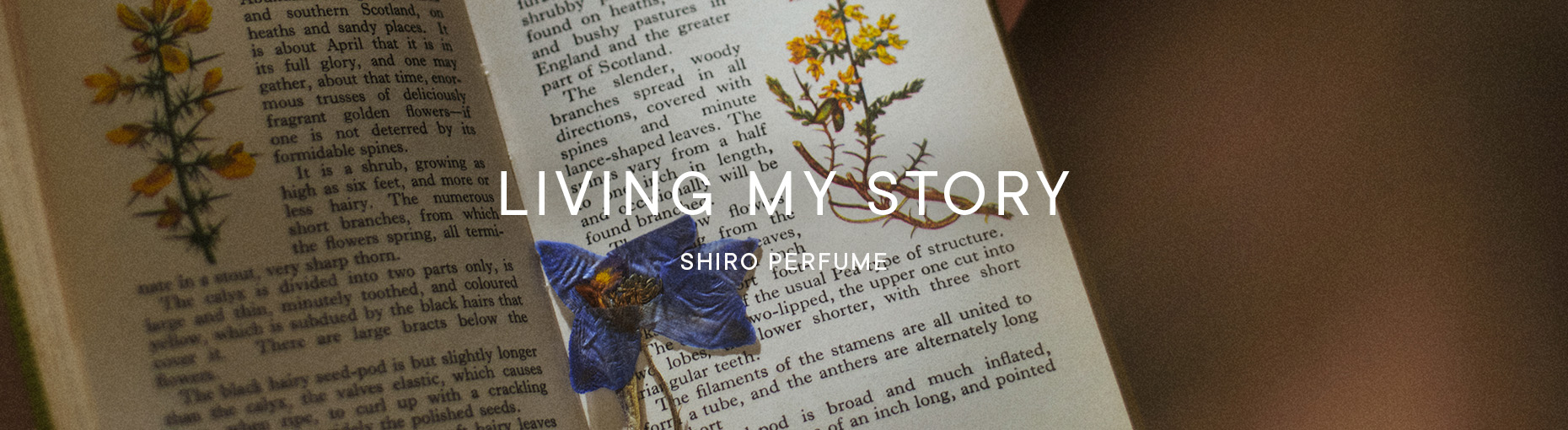 LIVING MY STORY