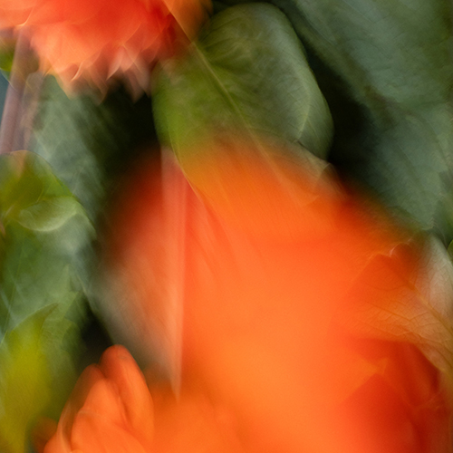 花茶