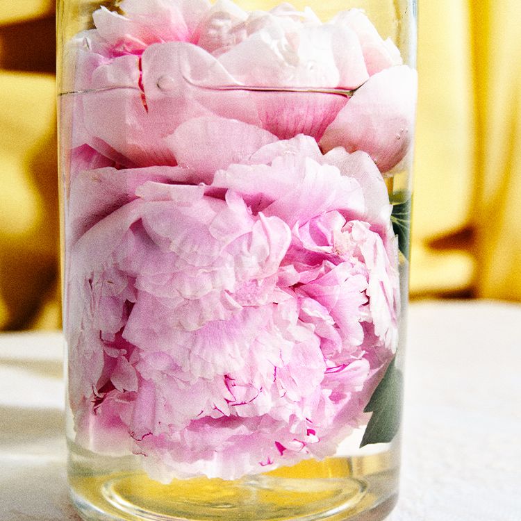PEONY BLISS